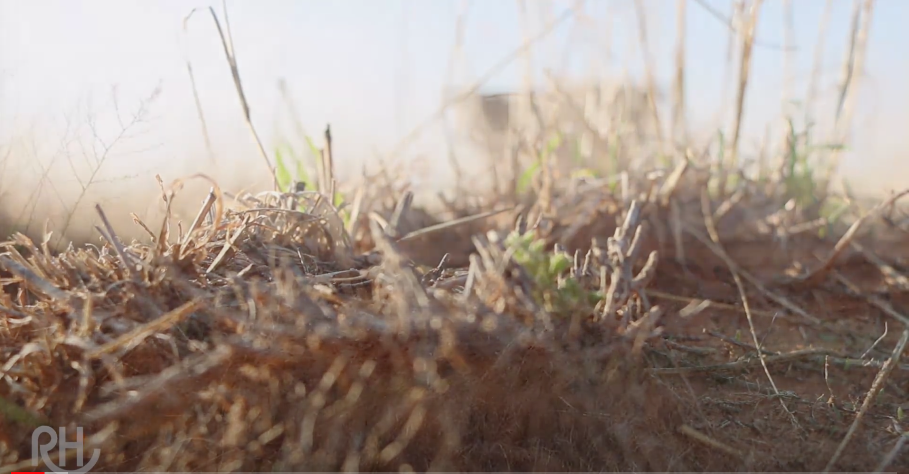 Screen Shot 2020-07-17 at 12.00.55 PM